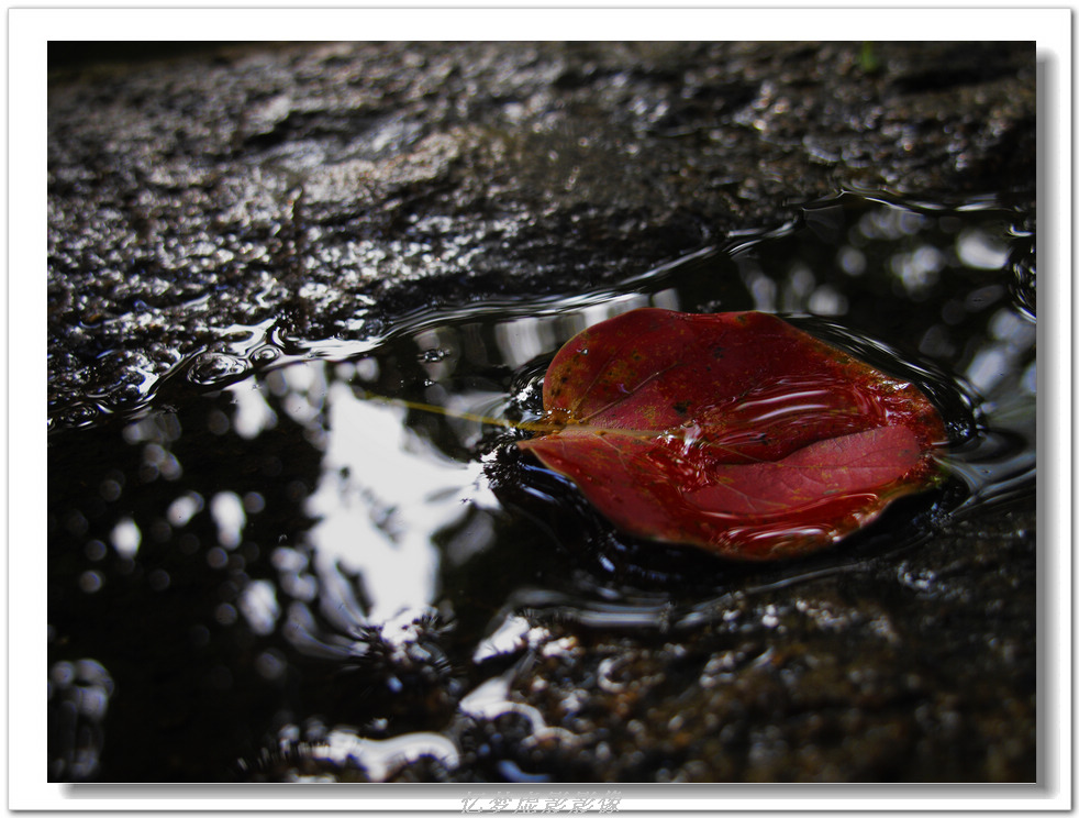 IMG_9407AB.jpg