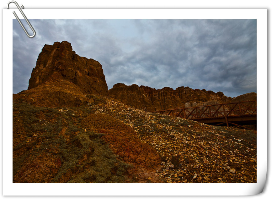 IMG_0206-2.jpg
