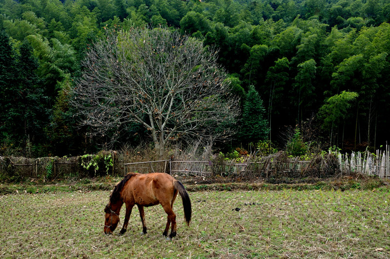 DSC_0097_1616.1.jpg