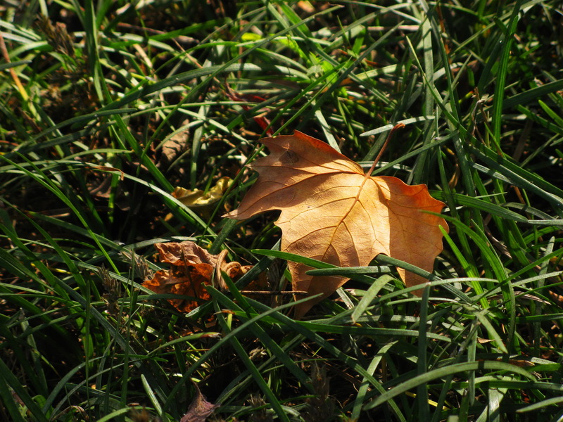 IMG_1376_web.jpg