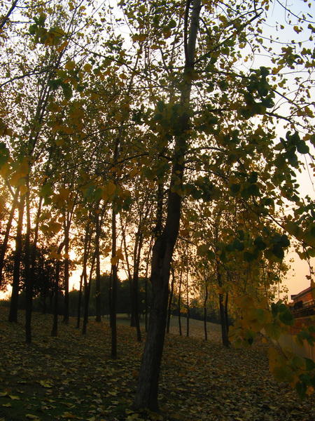 IMG_1404_web.jpg