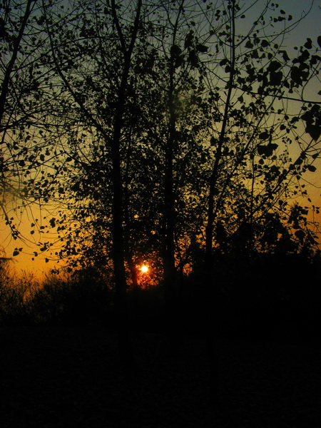 IMG_1405_web.jpg