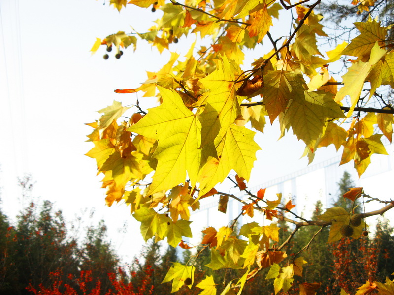 IMG_1345_web.jpg