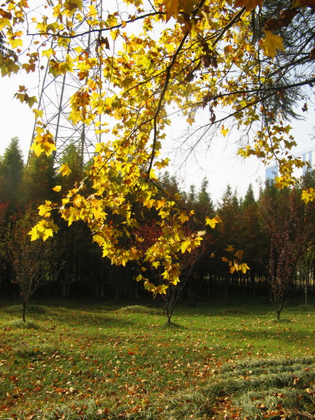 IMG_1389_web.jpg