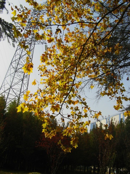 IMG_1390_web.jpg
