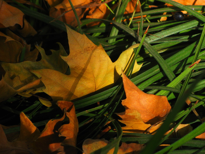IMG_1383_web.jpg