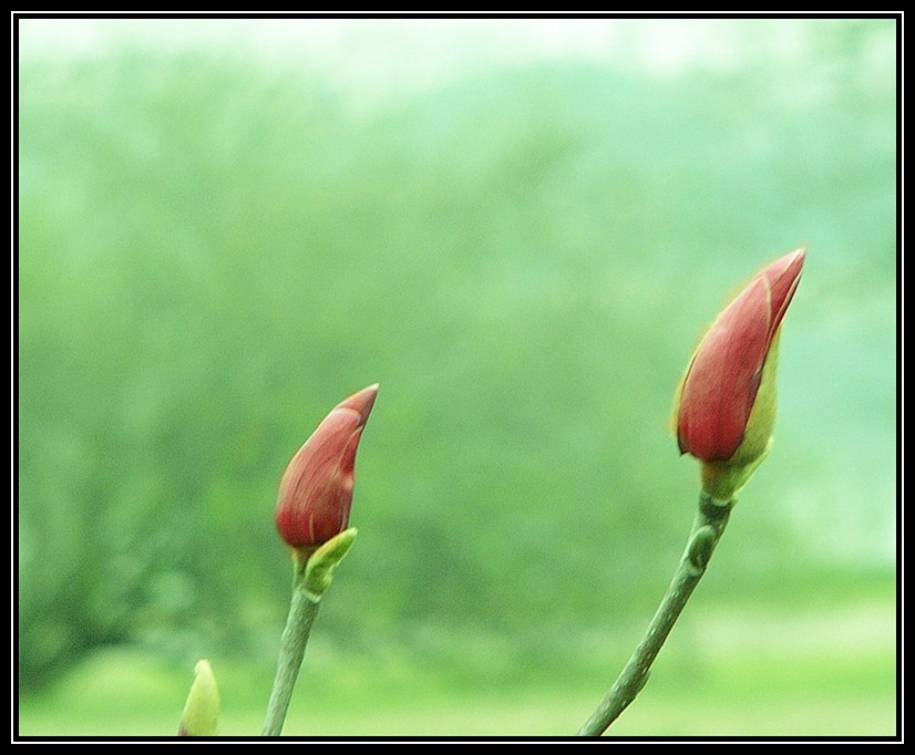 p1150459__.jpg