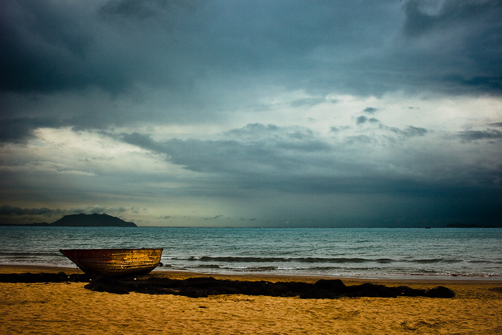 5_MG_2388-1-ys.jpg