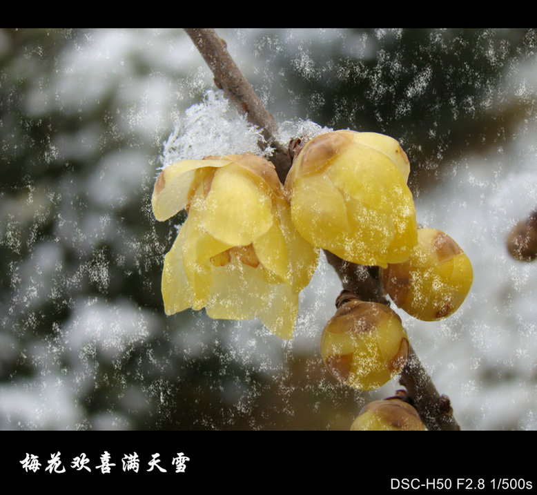 DSC01060_conew1.jpg