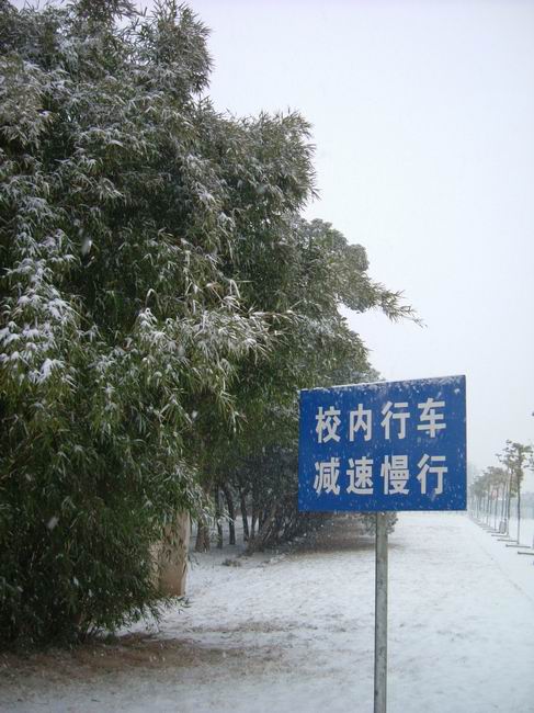 С DSCF8380.JPG