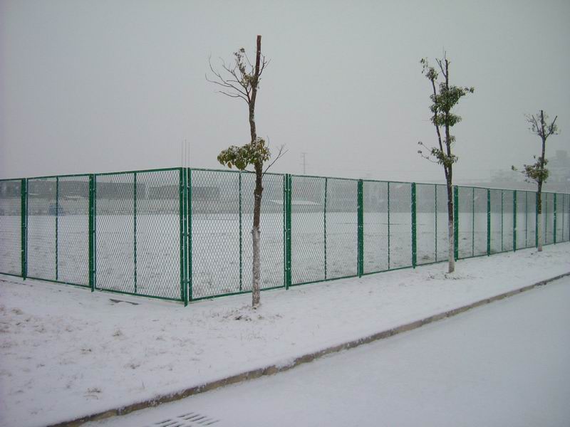 С DSCF8374.JPG