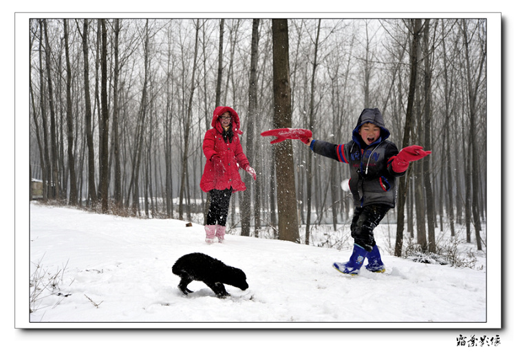 _DSC9809ab.jpg