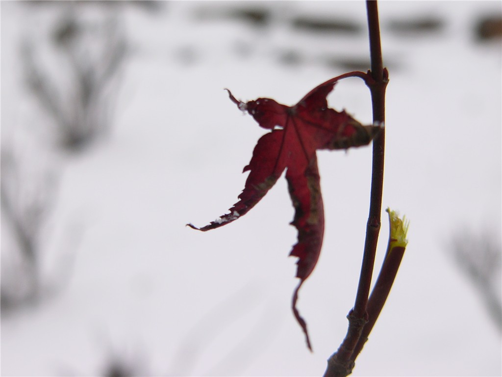 p1260302_.jpg