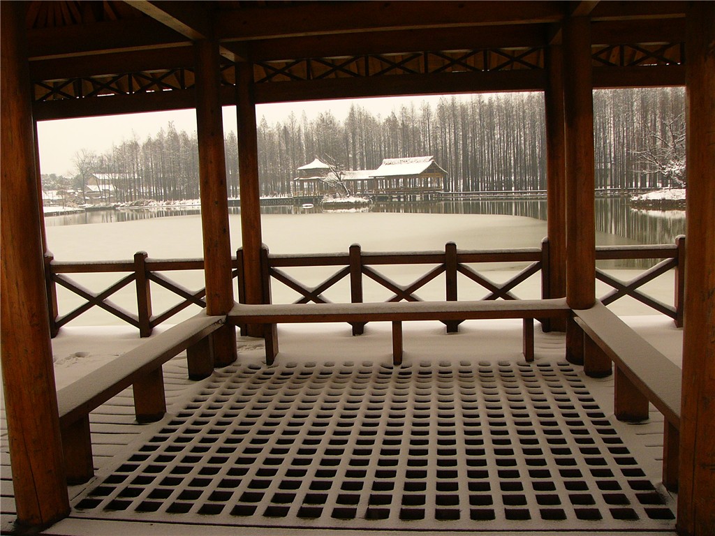 P1260364_.jpg