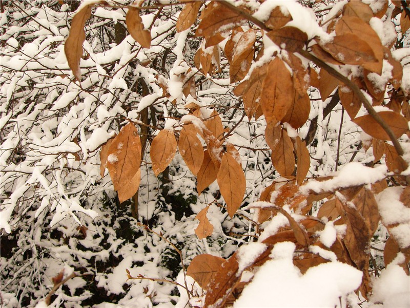 P1260368_.jpg