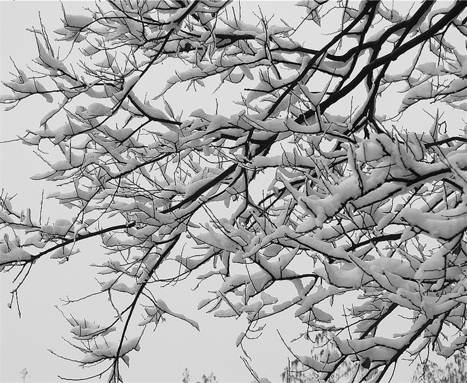 p1260385__.jpg