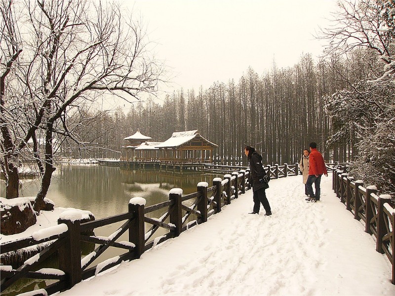 p1260390__.jpg