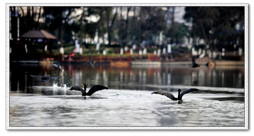 DSC_8639 .jpg