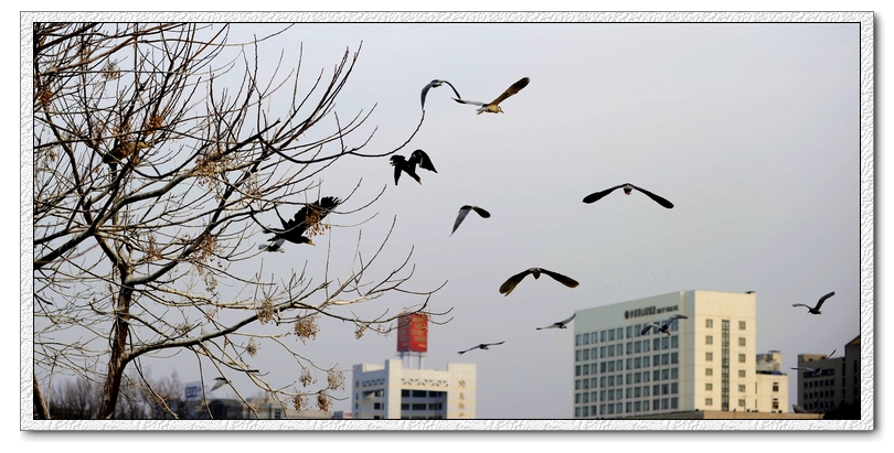 DSC_8560.jpg