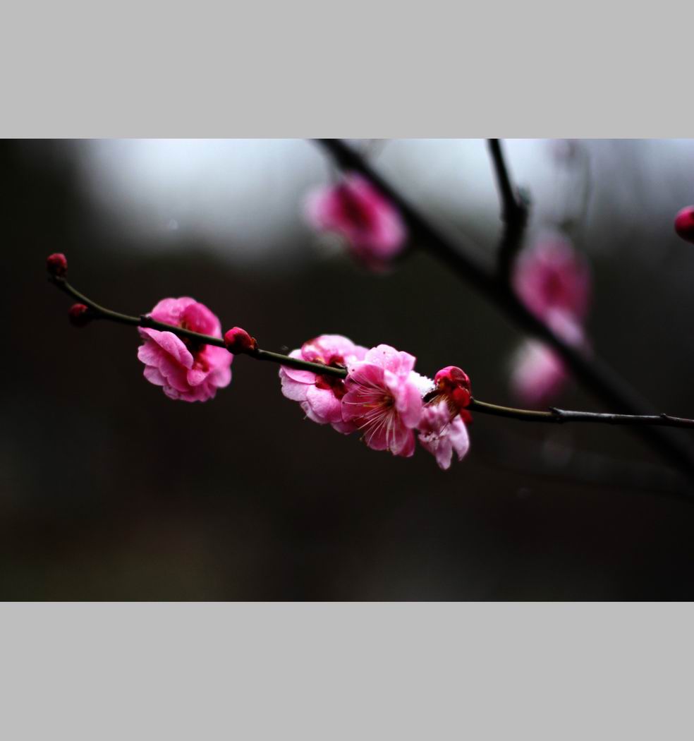 С ع IMG_9144.JPG
