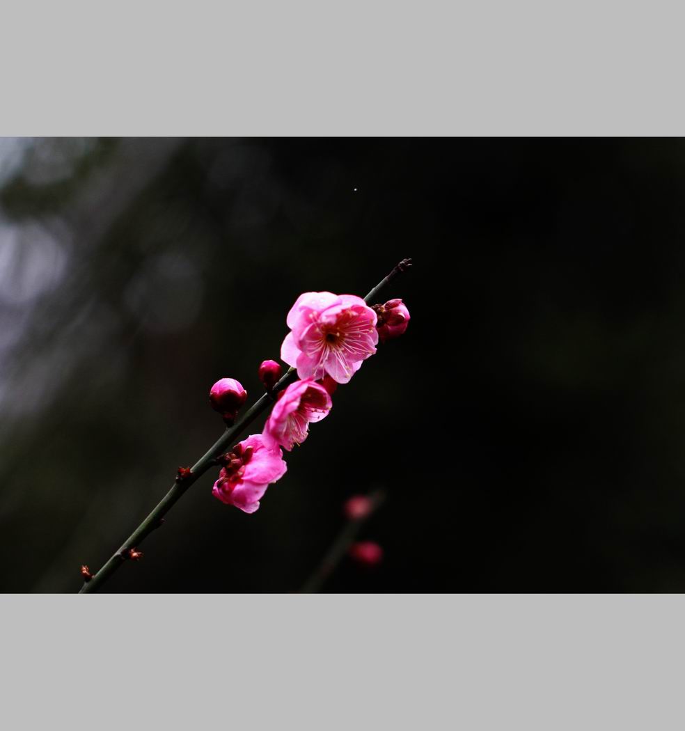 С ع IMG_9152.JPG