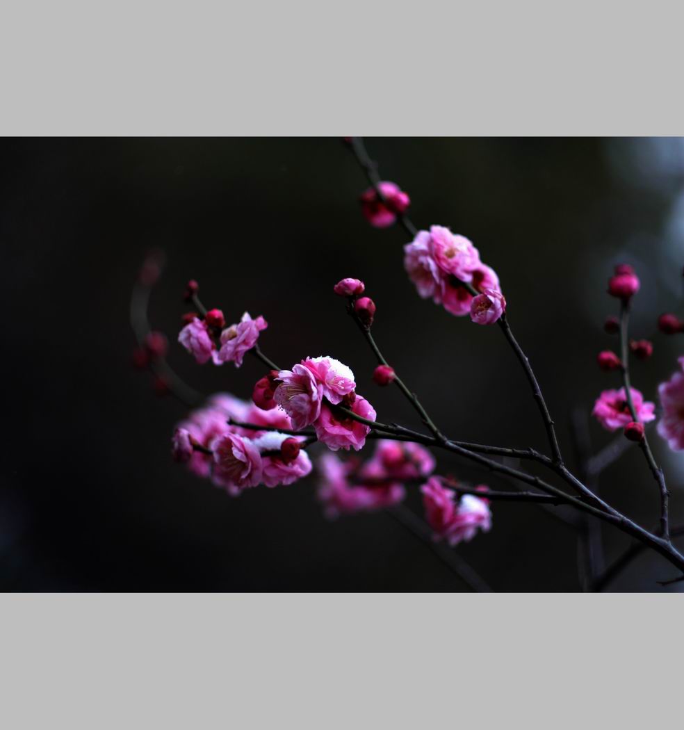 С ع IMG_9145.JPG