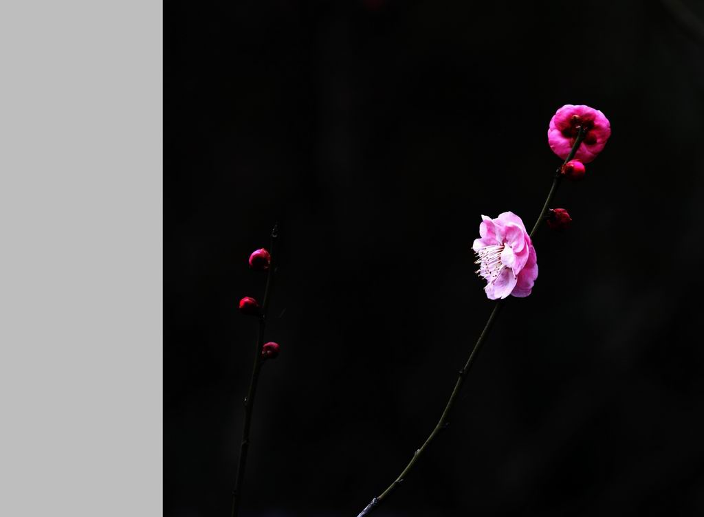 С ع IMG_9173.JPG
