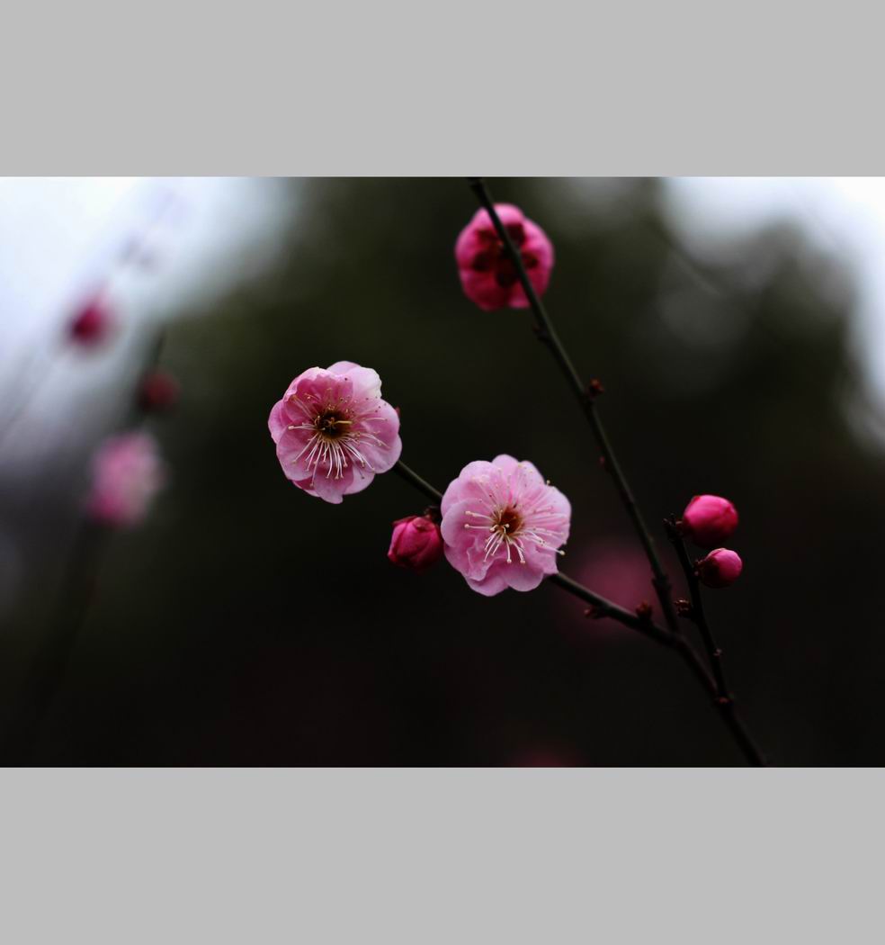 С ع IMG_9160.JPG