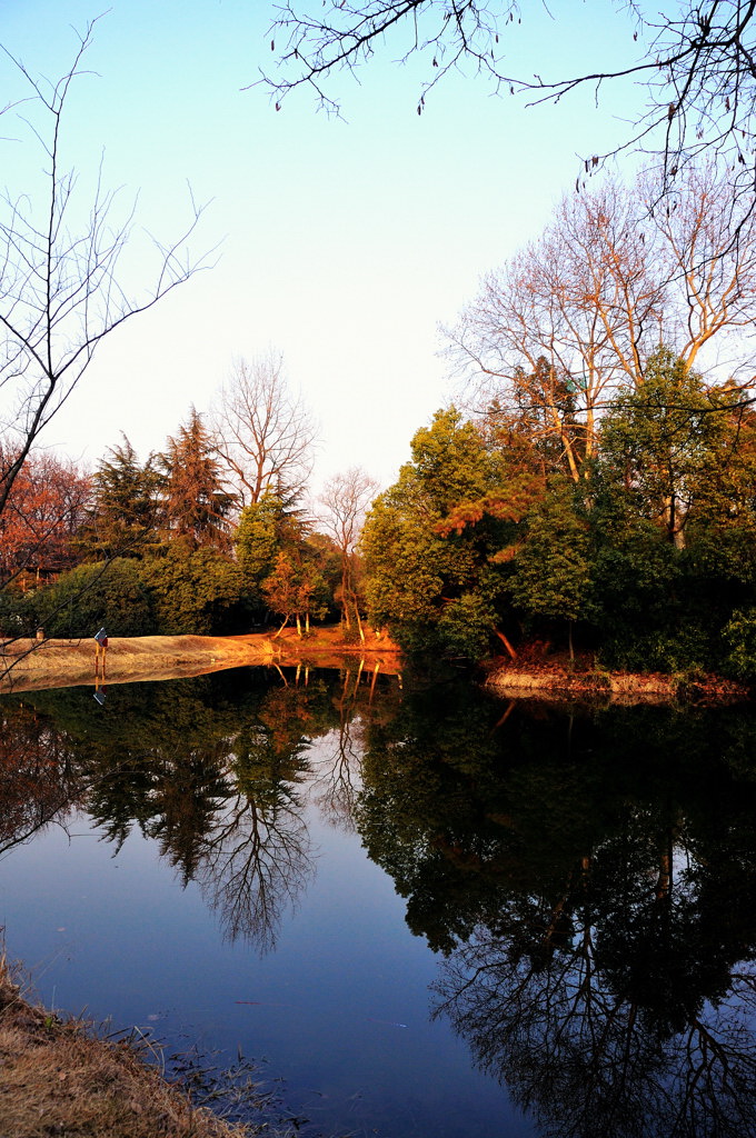 DSC_0692.jpg