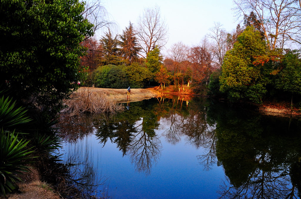 DSC_0704.jpg