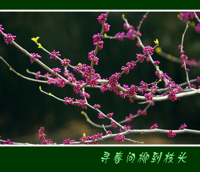 20110327-03x.jpg