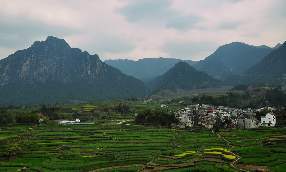 DSC_0069D.jpg