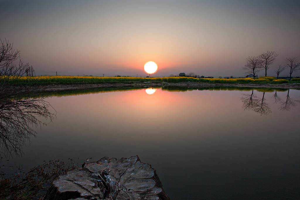11_MG_7884-ys.jpg