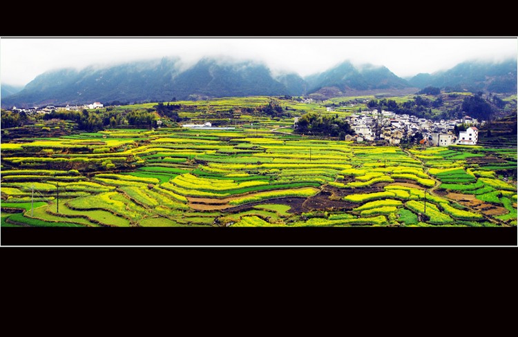 家朋接片（111）.jpg
