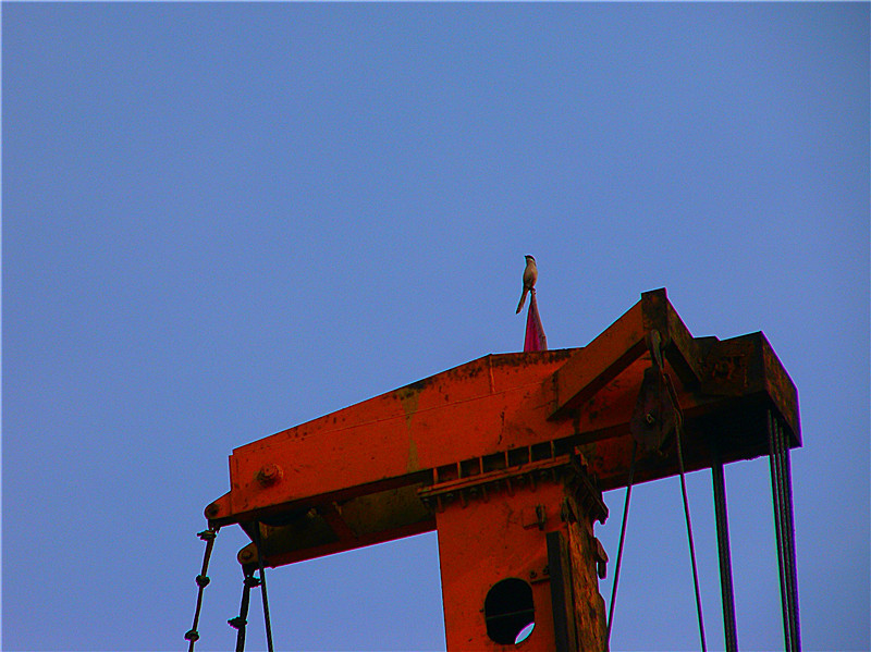 p1270076__.jpg