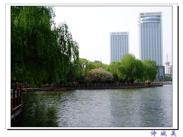 DSCF2237.jpg