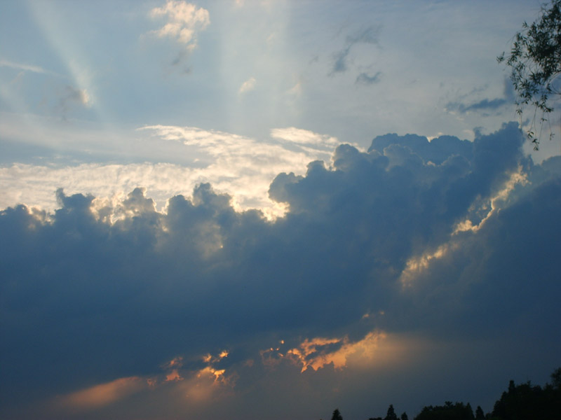 S5001547.JPG