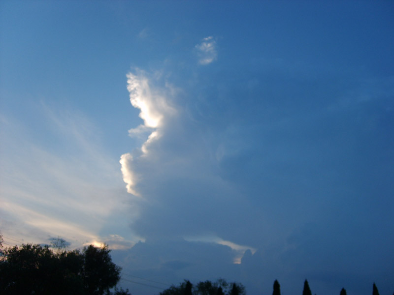 S5001573.JPG