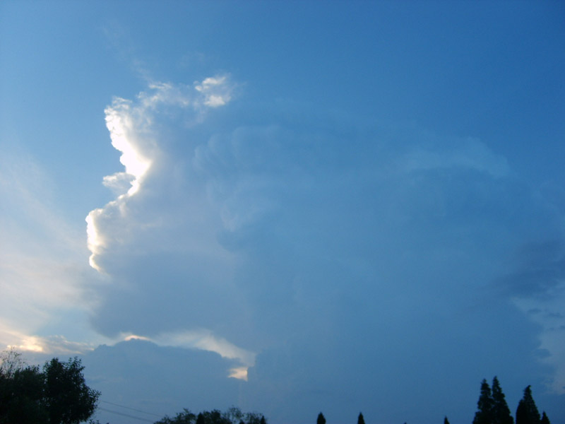 S5001571.JPG