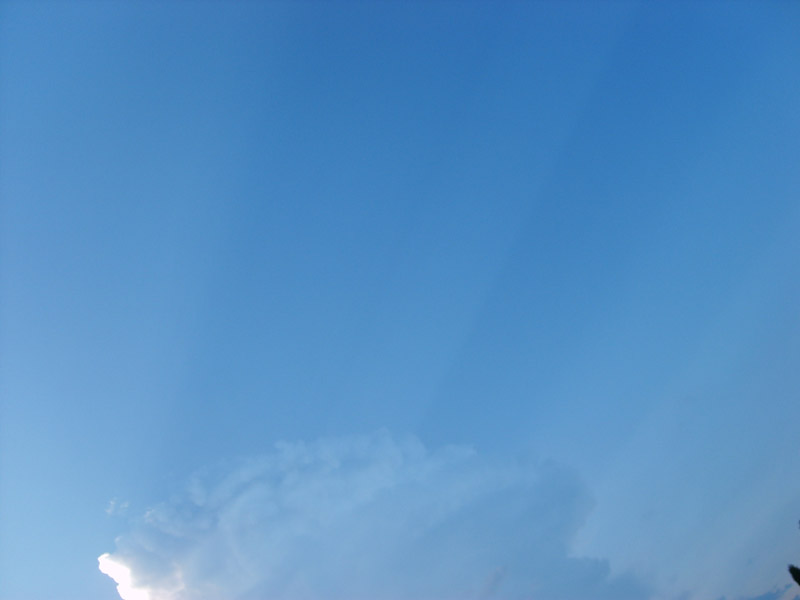 S5001563.JPG