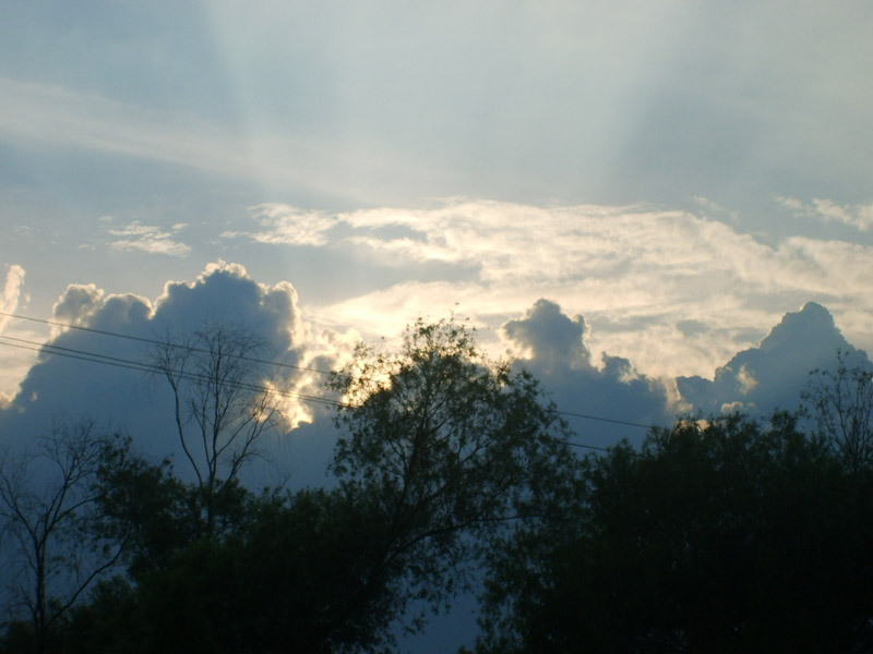 S5001548.JPG