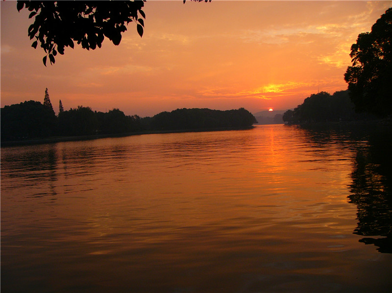 p1140478_.jpg
