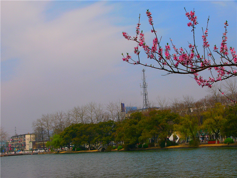 p1270359_.jpg
