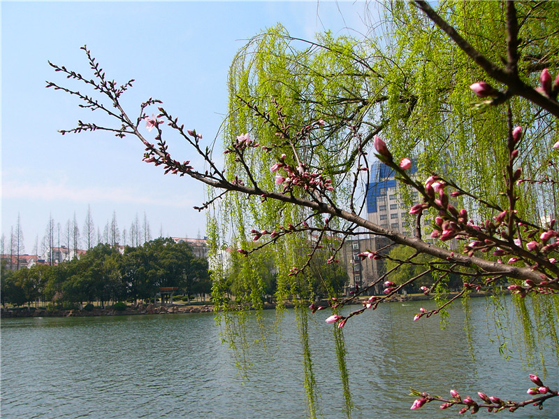 p1270396_.jpg