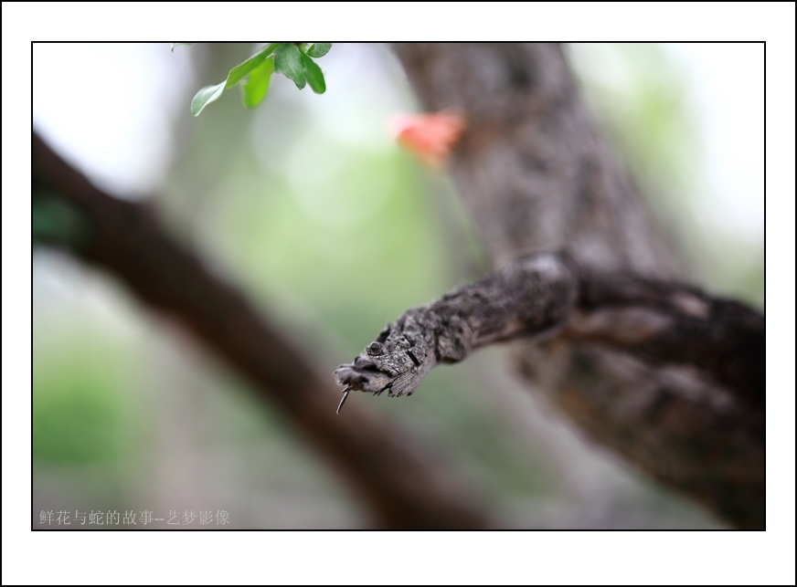 _MG_3379_.jpg