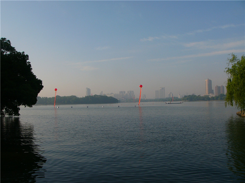p1310879_.jpg