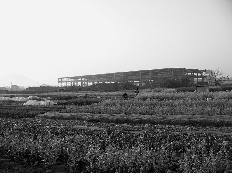 P1280867__.jpg