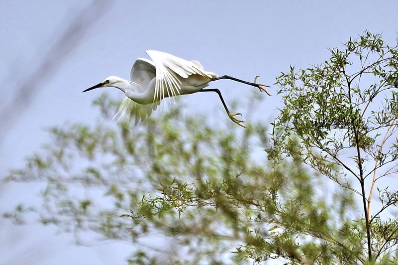 Сس_DSC3035.jpg