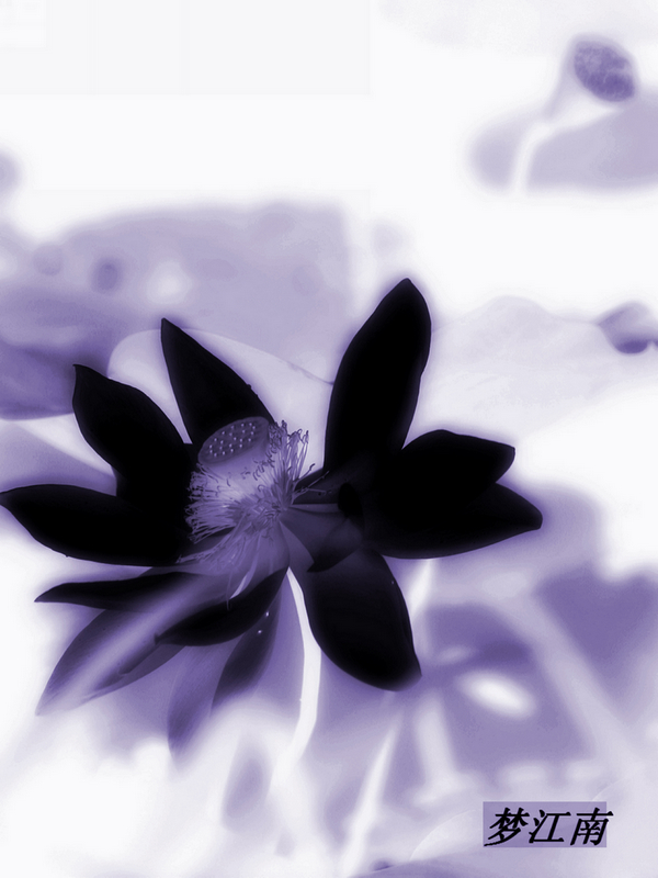 ҵ