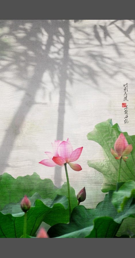 DSC_3832hhhsuo.jpg
